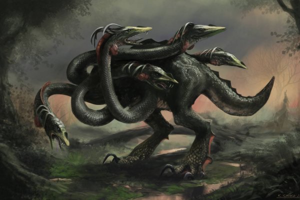 Kraken 17 at net