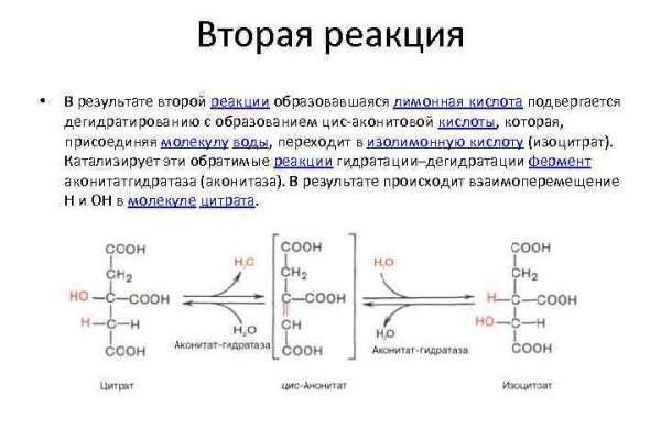 Как вывести с кракена