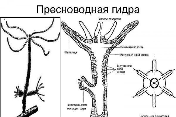 Кракен наркоплейс